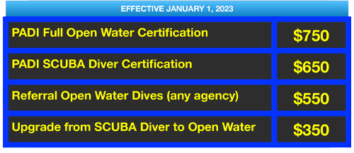 PADI OPEN WATER SCUBA DIVE TRAINING ST CROIX