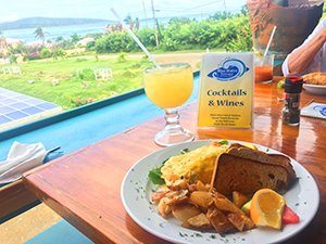 Blue Water Terrace restaurant st croix virgin islands