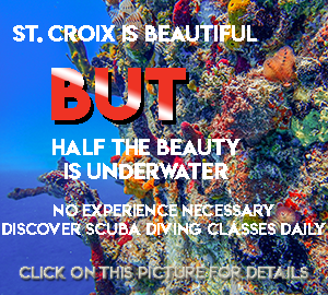 Discover SCUBA Diving with St Croix SCUBA dive shop