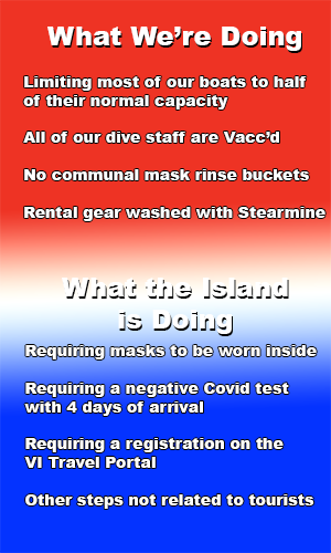 St Croix SCUBA Covid protocols 